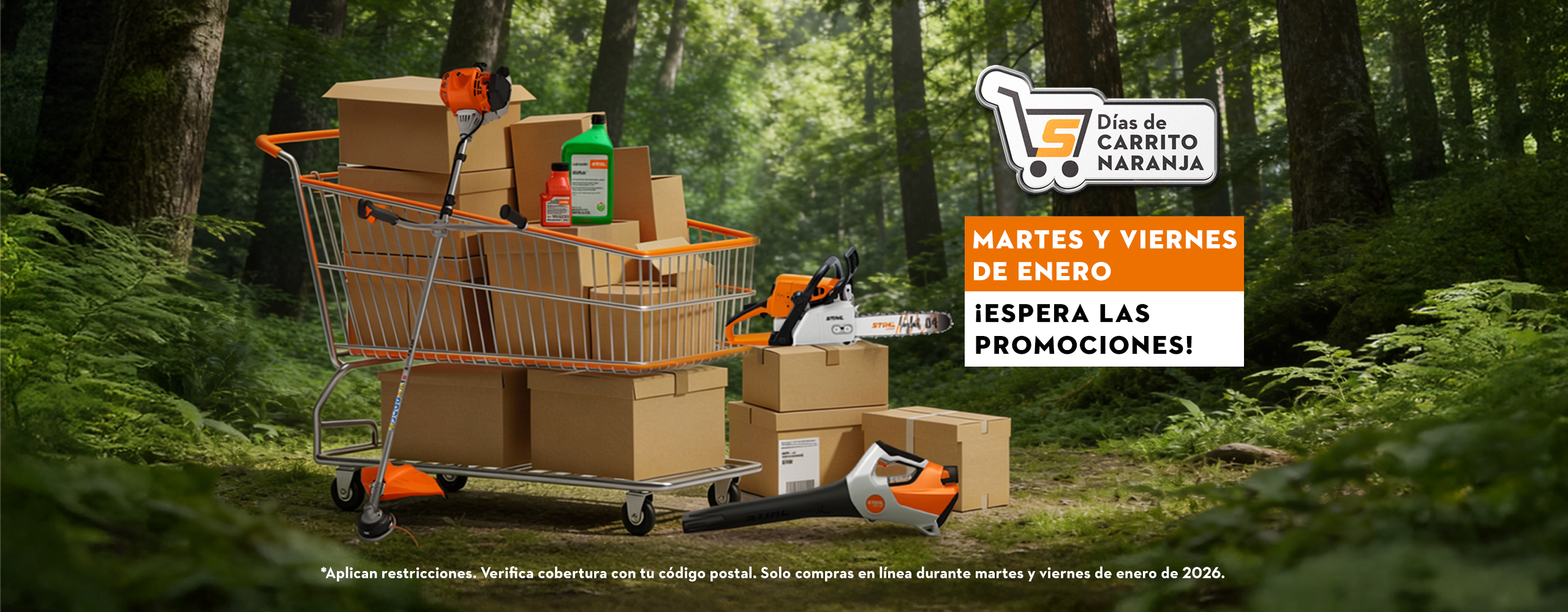 promoción enereo 2026 tienda online